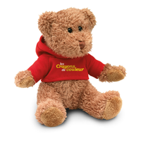 Teddy bear plus with hoodie