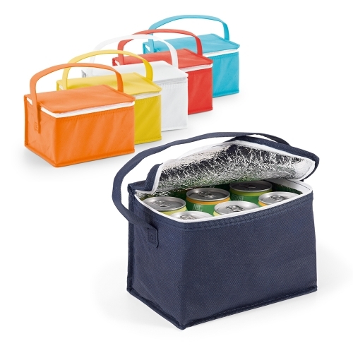 Non woven 6 can cooler bag